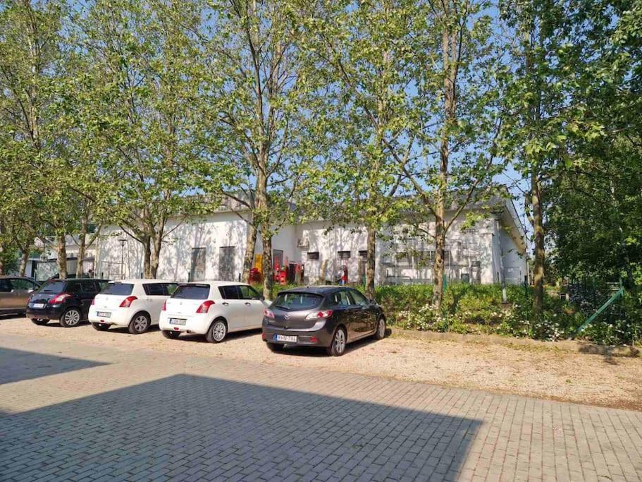 Swan Apartman - Keszthely Zewnętrze zdjęcie